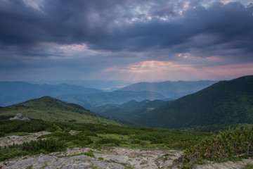 beautiful summer landscape in the mountains. Sunrise