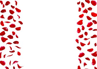 Rose petals fall to the floor