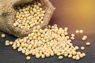 Soy bean