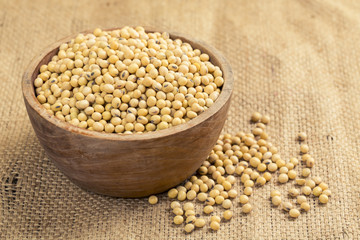 Soy bean