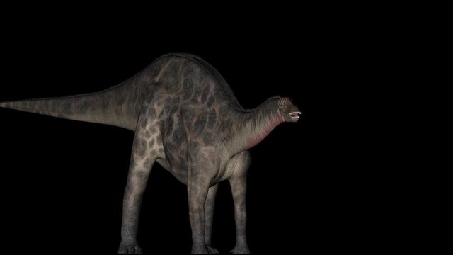 Animation of Dicraeosaurus Dinosaur in Rotation on Black Background, detail of head, neck and body.