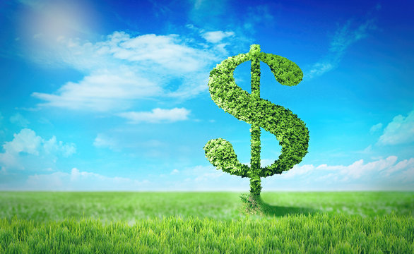 Dollar sign made of tree leaves on green spring field background