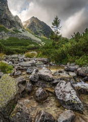 Skok Waterfall in Mountains on Cloudy Day. Mlynicka Valley, High Tatra, Slovakia. © kaycco