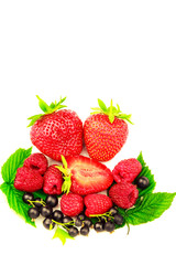 Mix of fresh and ripe berries isolated on white background.