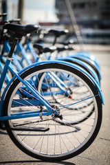 Fototapeta premium Прокат велосипедов