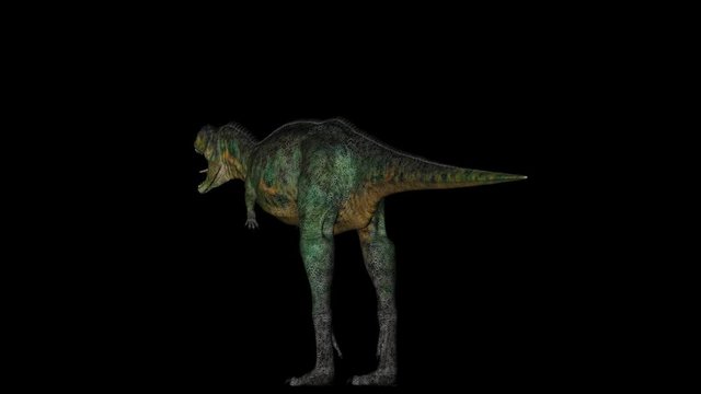 Animation of dinosaur Aucasaurus gyrating 360 degree on black background