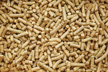 Solid wooden pellets, closeup