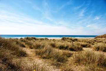 Fototapeta na wymiar Dune grass at the beach. A view to the beach and sea