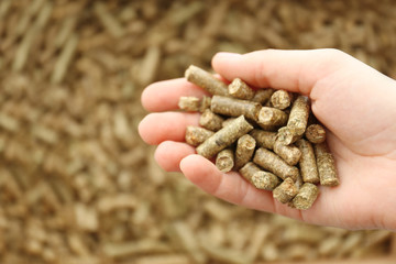 Human hand holding solid wooden pellets, closeup