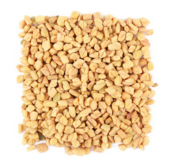 Square of fenugreek seeds on white background
