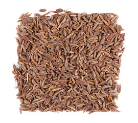 Square of cumin seeds on white background