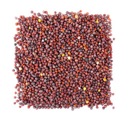 Square of black mustard seeds on white background