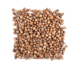 Square of coriander seeds on white background