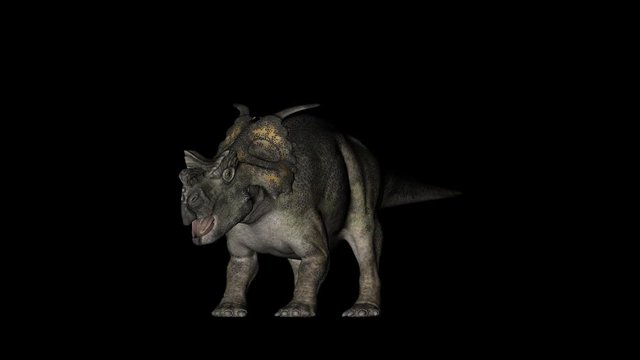 Animation of dinosaur Achelosaurus gyrating 360 degree on black background