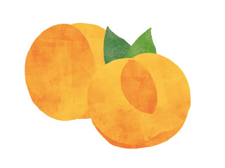 apricot