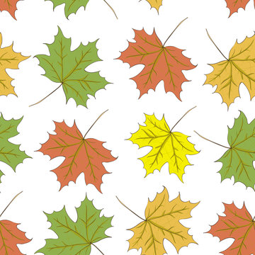 Seamless pattern of autumn maple leaves. Vector