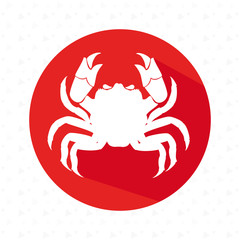 signs of the zodiac design, vector illustration eps10 graphic 