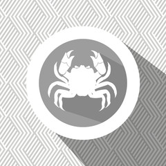 signs of the zodiac design, vector illustration eps10 graphic 