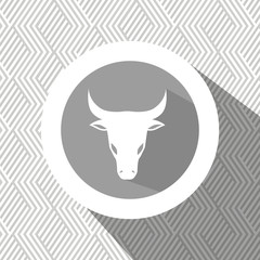 signs of the zodiac design, vector illustration eps10 graphic 