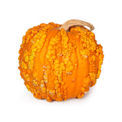 Pumpkin With Warts