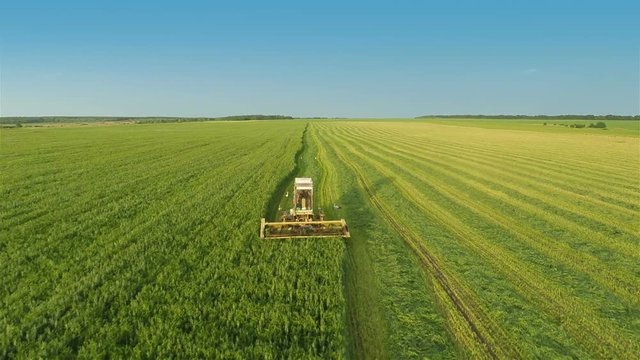 Aerial shot: Combine harvesting on field
