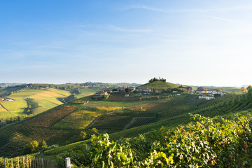 Naklejka premium beautiful vineyard in switzerland in blue sky