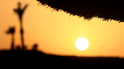 Summer sunset in Egypt Desert