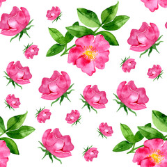 watercolor seamless pattern with wild rose