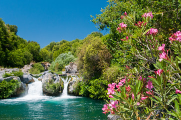 Oleander plant, a natural pool and a fall of the Alcantara river park, Sicily