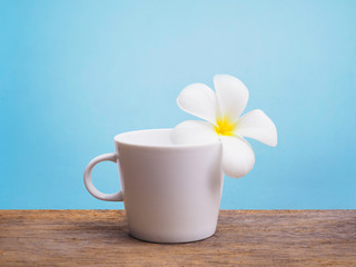 White plumeria flower and empty cup of coffee