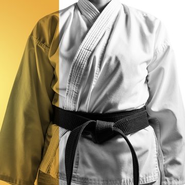 Composite image of mid section of karateka
