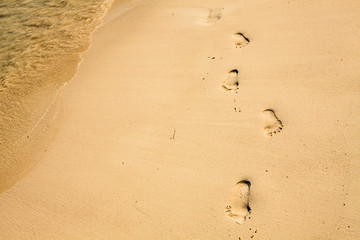 Fototapeta na wymiar Footprint in the Sand