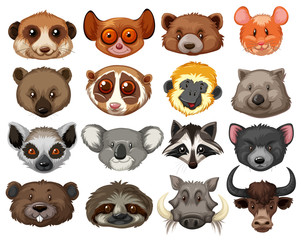 Set of animal heads