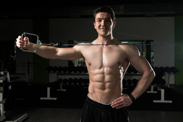 Fototapeta na wymiar Triceps Exercise Of A Young Bodybuilder