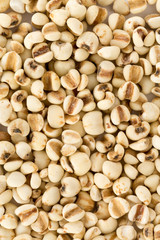 Coixseed, also known as Job's tears on white bacground