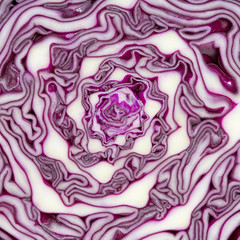 Obraz premium Close up on sliced purple salad cabbage