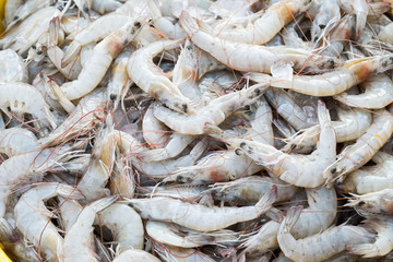 Pile of fresh sea shrimps