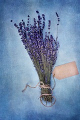 Lavender and Tag