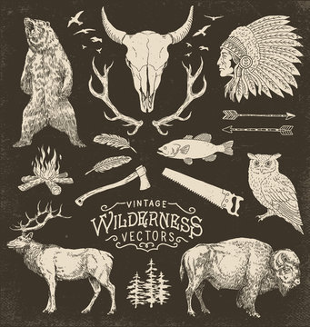 Vintage Wilderness Vector Illustration Set