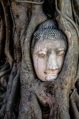 Ancient buddha head embeded in banyan tree from Ayutthaya, Thail