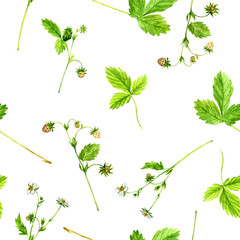 Seamless pattern with watercolor drawing strawberry plants