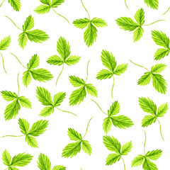 Seamless pattern with watercolor drawing strawberry leavess