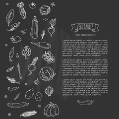 Hand drawn doodle vegetables icons set Vector illustration seasonal vegetable symbols collection Cartoon different kinds of vegetables Various types of vegetables on white background Sketchy style