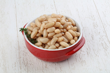 White canned kidney