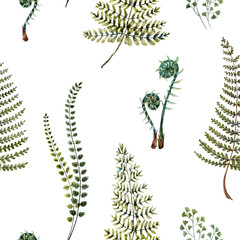Watercolor fern pattern