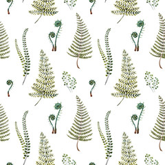Watercolor fern pattern