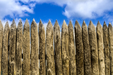 Wooden timber texture background
