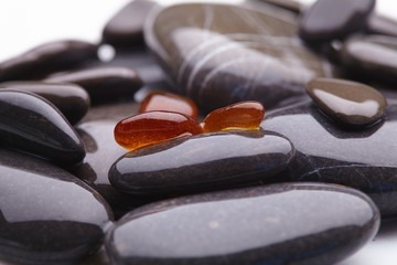 sea stones