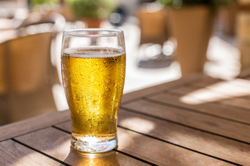 Glass of light beer on the wooden table.