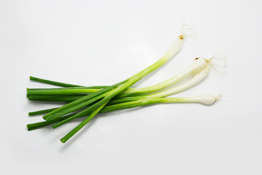 onion and celery